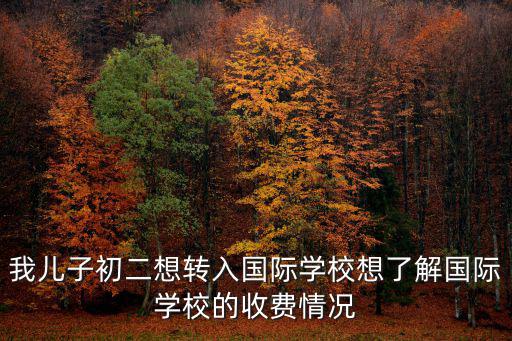 我兒子初二想轉入國際學校想了解國際學校的收費情況