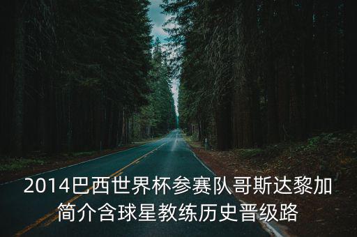 2014巴西世界杯參賽隊哥斯達黎加簡介含球星教練歷史晉級路