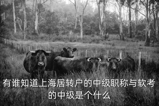 有誰知道上海居轉(zhuǎn)戶的中級職稱與軟考的中級是個什么
