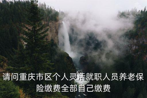 請問重慶市區個人靈活就職人員養老保險繳費全部自己繳費