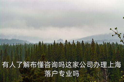 有人了解布懂咨詢嗎這家公司辦理上海落戶專業(yè)嗎