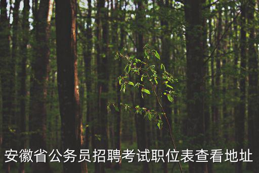 安徽省公務員招聘考試職位表查看地址