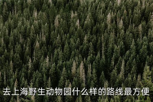 去上海野生動物園什么樣的路線最方便