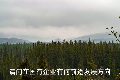 企業發展前景，公司發展前景如何