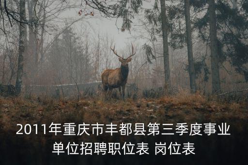 2011年重慶市豐都縣第三季度事業單位招聘職位表 崗位表