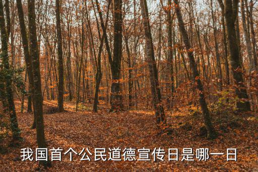 我國首個公民道德宣傳日是哪一日