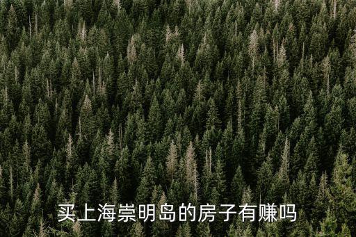 買(mǎi)上海崇明島的房子有賺嗎