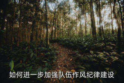 如何進(jìn)一步加強(qiáng)隊(duì)伍作風(fēng)紀(jì)律建設(shè)