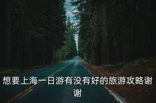 想要上海一日游有沒有好的旅游攻略謝謝