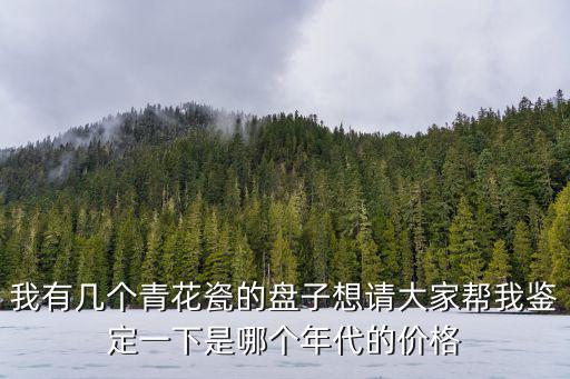 我有幾個(gè)青花瓷的盤子想請(qǐng)大家?guī)臀诣b定一下是哪個(gè)年代的價(jià)格