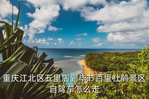 重慶江北區(qū)五里店到畢節(jié)百里杜鵑景區(qū)自駕車怎么走