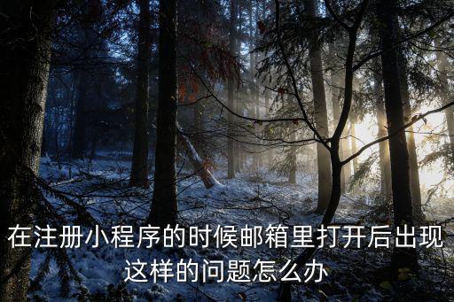 在注冊小程序的時候郵箱里打開后出現這樣的問題怎么辦