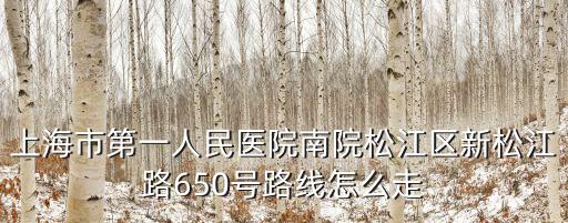 上海市第一人民醫院南院松江區新松江路650號路線怎么走