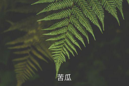 苦瓜
