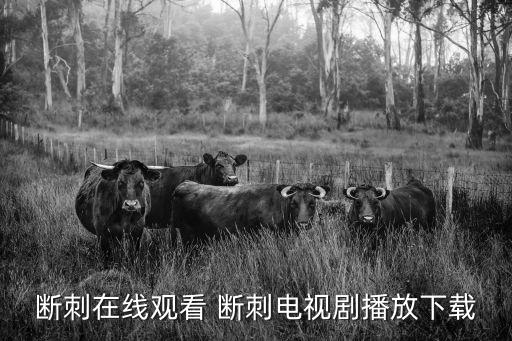 斷刺在線觀看 斷刺電視劇播放下載
