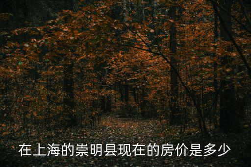 上海崇明島新房房價，上海崇明島現在的房價是多少