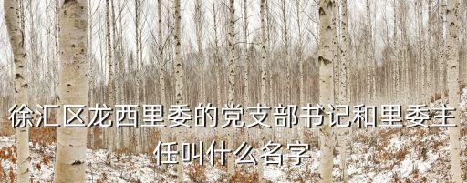 徐匯區(qū)龍西里委的黨支部書記和里委主任叫什么名字