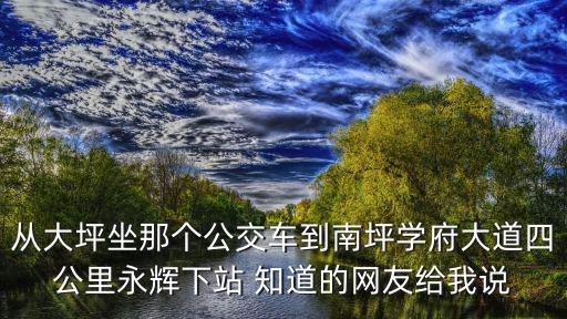 從大坪坐那個公交車到南坪學府大道四公里永輝下站 知道的網友給我說