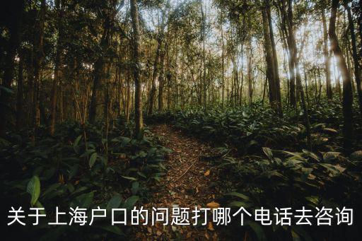 上海落戶咨詢公司電話，關(guān)于上海戶口的問題打哪個電話去咨詢