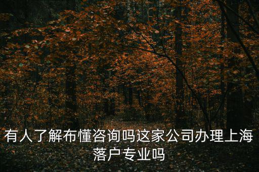 有人了解布懂咨詢嗎這家公司辦理上海落戶專業(yè)嗎