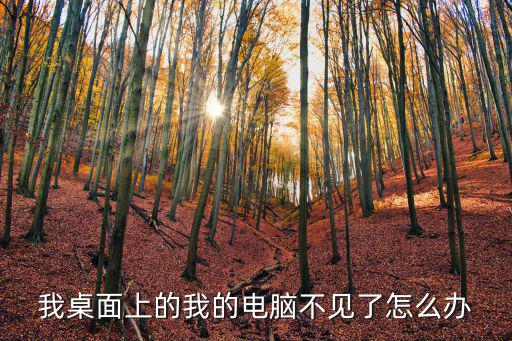 我的電腦不見了，我桌面上的我的電腦不見了怎么辦