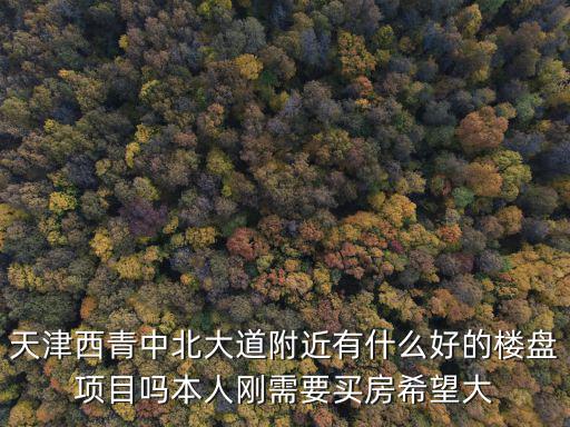 天津西青中北大道附近有什么好的樓盤項目嗎本人剛需要買房希望大
