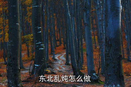 東北亂燉怎么做