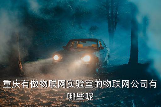 重慶有做物聯網實驗室的物聯網公司有哪些呢