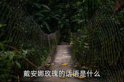 戴安娜玫瑰的話語是什么