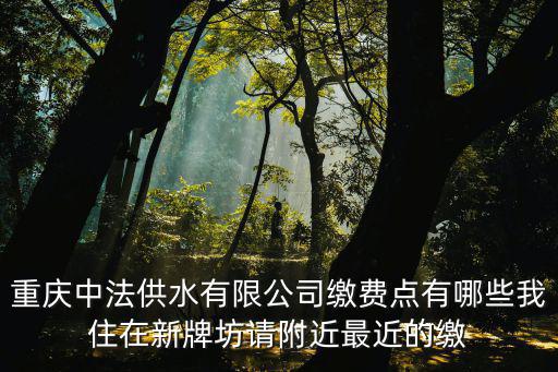 重慶中法供水有限公司繳費點有哪些我住在新牌坊請附近最近的繳
