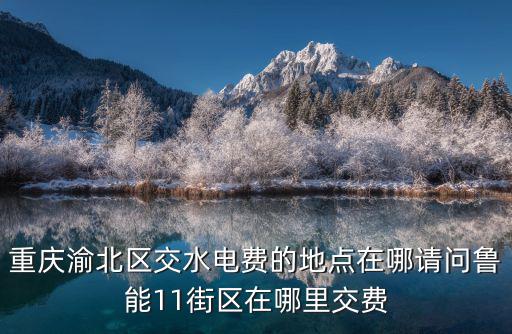 重慶渝北區交水電費的地點在哪請問魯能11街區在哪里交費