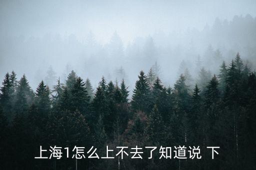 上海1怎么上不去了知道說 下