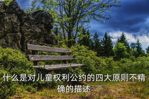 什么是對(duì)兒童權(quán)利公約的四大原則不精確的描述