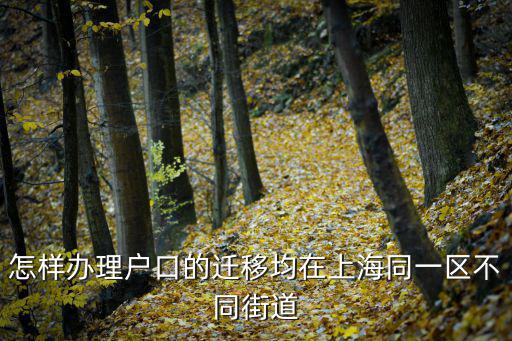 怎樣辦理戶口的遷移均在上海同一區(qū)不同街道
