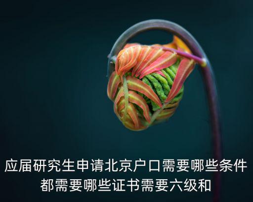應屆研究生申請北京戶口需要哪些條件都需要哪些證書需要六級和
