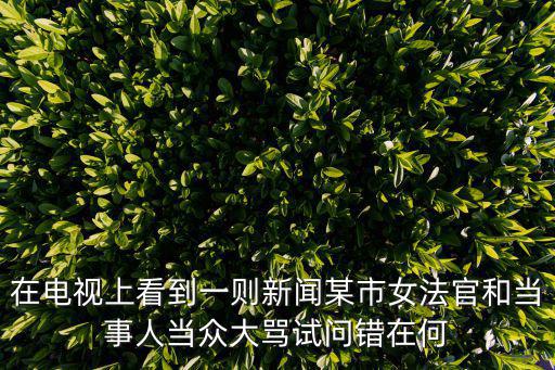 在電視上看到一則新聞某市女法官和當事人當眾大罵試問錯在何