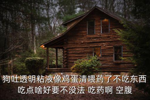 狗吐透明粘液像雞蛋清喂藥了不吃東西吃點啥好要不沒法 吃藥啊 空腹