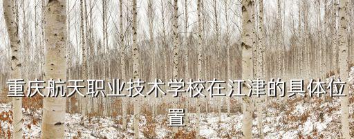 重慶航天職業技術學校在江津的具體位置