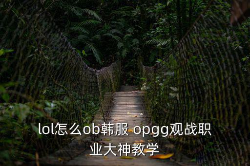 lol怎么ob韓服 opgg觀戰(zhàn)職業(yè)大神教學(xué)