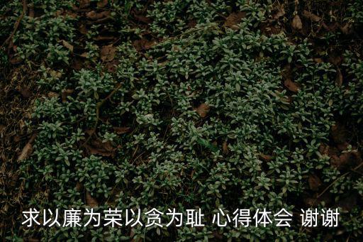 求以廉為榮以貪為恥 心得體會 謝謝