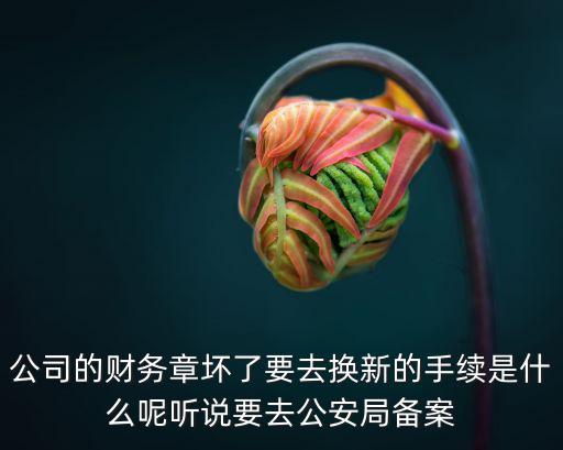 公司的財(cái)務(wù)章壞了要去換新的手續(xù)是什么呢聽(tīng)說(shuō)要去公安局備案