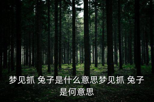 夢見抓 兔子是什么意思夢見抓 兔子是何意思