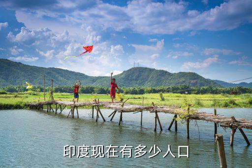 印度有多少人口，印度有多少人