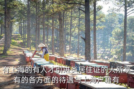 有上海的有人才引進(jìn)類居住證的人所享有的各方面的待遇與上海戶藉有