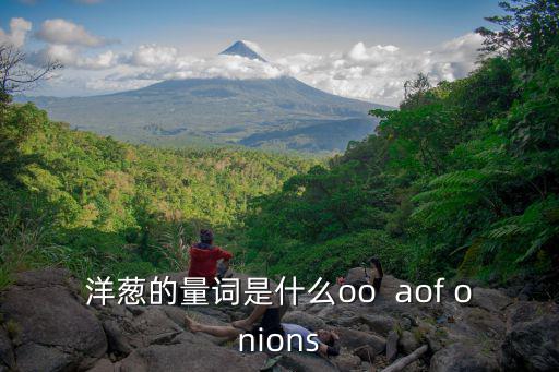 洋蔥的量詞是什么oo  aof onions