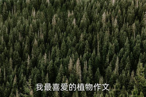 我最喜愛的植物作文