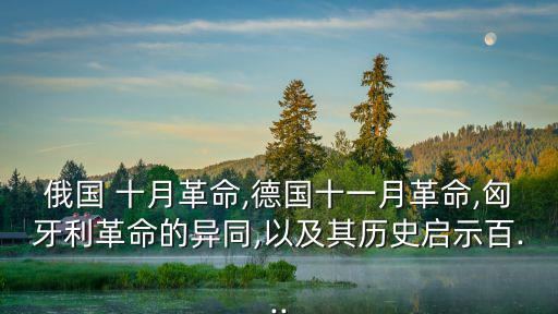 俄國 十月革命,德國十一月革命,匈牙利革命的異同,以及其歷史啟示百...