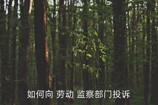 勞動監察部門,如何投訴到勞動監察部門?