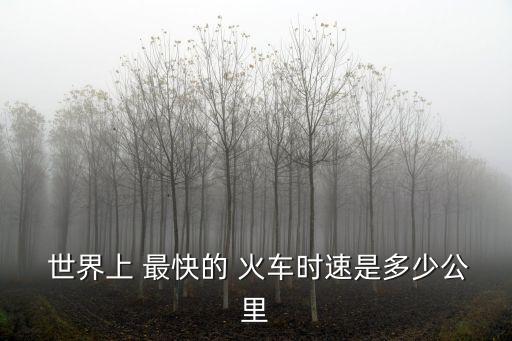  世界上 最快的 火車時(shí)速是多少公里