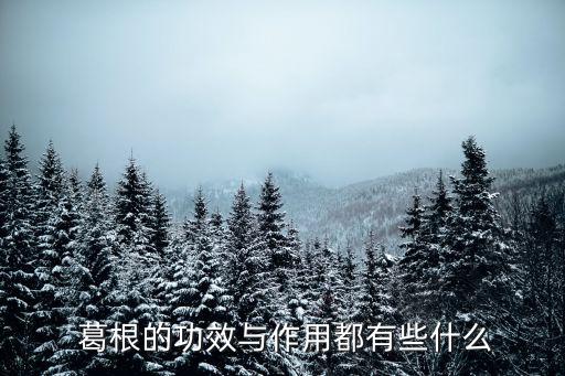 葛根的功效和作用,一文讀懂!葛根有助調節內分泌